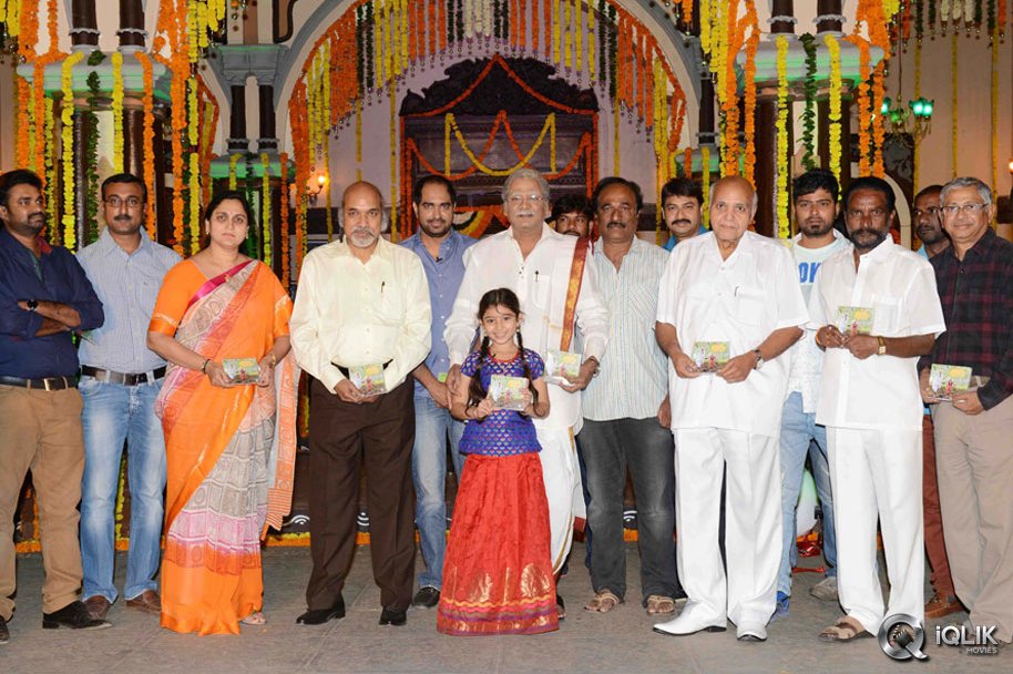 Dagudumutha-Dandakor-Movie-Audio-Launch